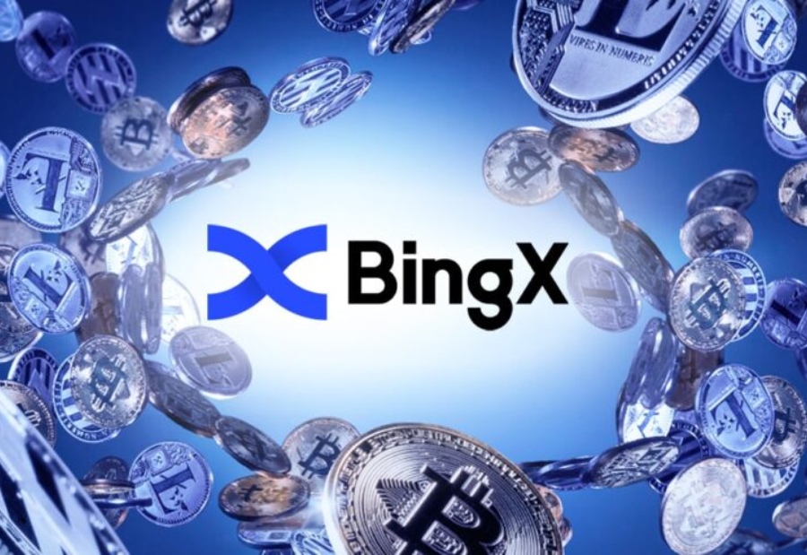 bingx exchange